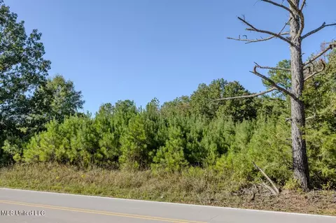 Cr-154, Shannon, MS 38868 photo 13