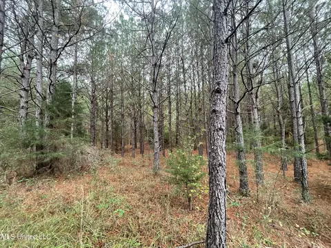 000 Kellis Store Rd, De Kalb, MS 39328 photo 9