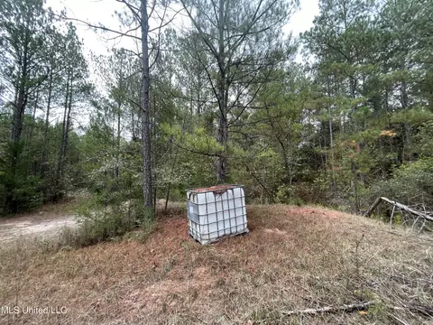 000 Kellis Store Rd, De Kalb, MS 39328 photo 4