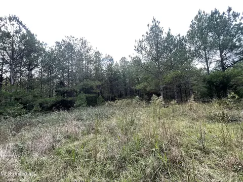 000 Kellis Store Rd, De Kalb, MS 39328 photo 11