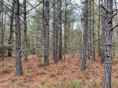 000 Kellis Store Rd, De Kalb, MS 39328 photo 15
