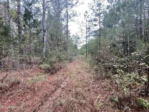 000 Kellis Store Rd, De Kalb, MS 39328 photo 6