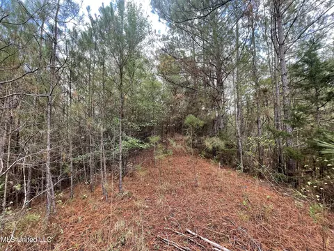 000 Kellis Store Rd, De Kalb, MS 39328 photo 19
