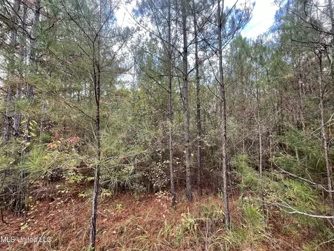 000 Kellis Store Rd, De Kalb, MS 39328 photo 17