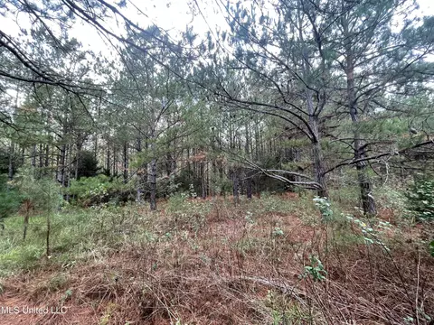 000 Kellis Store Rd, De Kalb, MS 39328 photo 13