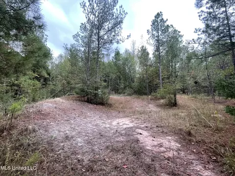 000 Kellis Store Rd, De Kalb, MS 39328 photo 5