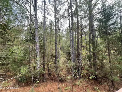 000 Kellis Store Rd, De Kalb, MS 39328 photo 18