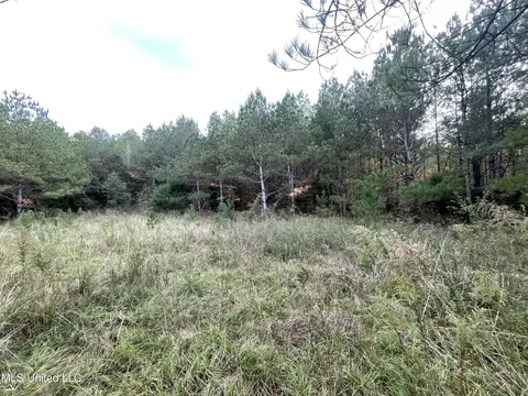 000 Kellis Store Rd, De Kalb, MS 39328 photo 14