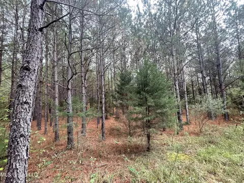 000 Kellis Store Rd, De Kalb, MS 39328 photo 8