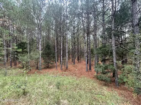 000 Kellis Store Rd, De Kalb, MS 39328 photo 7