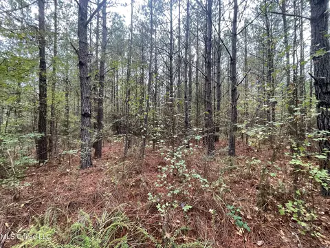 000 Kellis Store Rd, De Kalb, MS 39328 photo 3