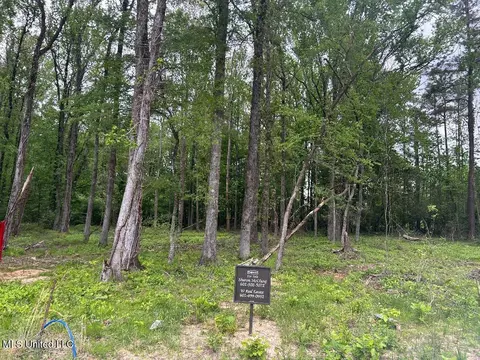 Bridgewater Bend Bend, Ridgeland, MS 39157 photo 2