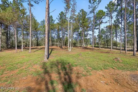 3035 Parsons Rd, Raymond, MS 39154 photo 29