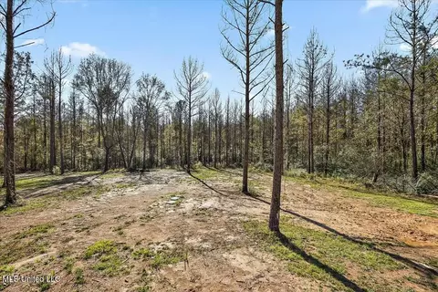 3035 Parsons Rd, Raymond, MS 39154 photo 25