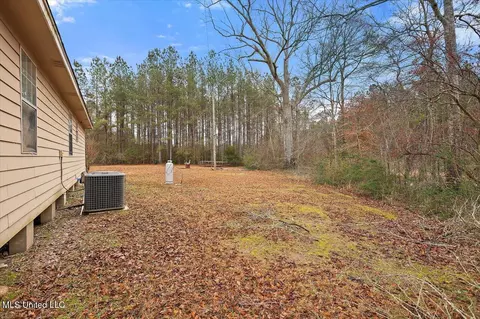 64 Garner Rd, Mount Olive, MS 39119 photo 28