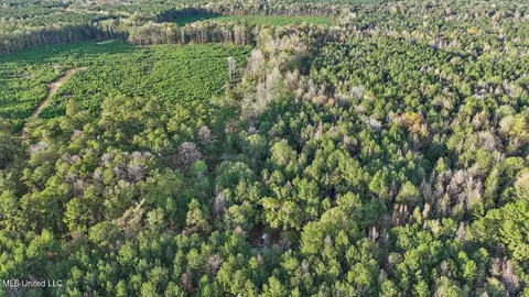 463 N Star Rd, Braxton, MS 39044