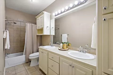 Bath - 412 Dunlin Ct, Brandon, MS 39047 photo 5 of 5