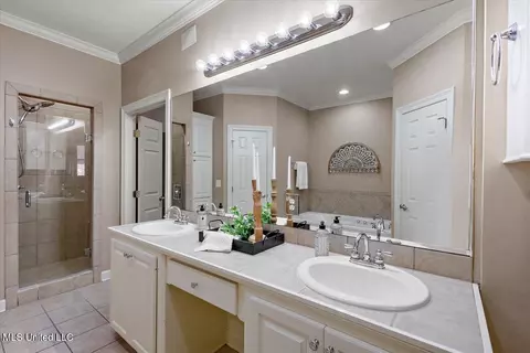 Bath - 412 Dunlin Ct, Brandon, MS 39047 photo 2 of 5
