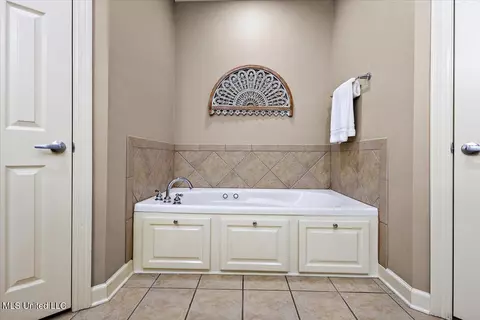 Bath - 412 Dunlin Ct, Brandon, MS 39047 photo 3 of 5
