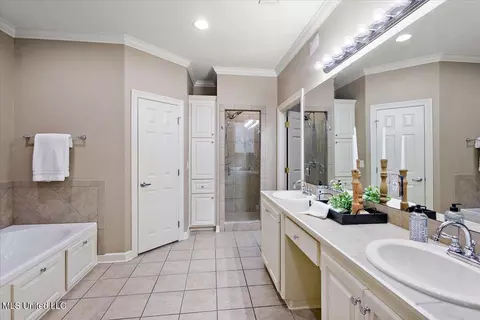 Bath - 412 Dunlin Ct, Brandon, MS 39047 photo 1 of 5