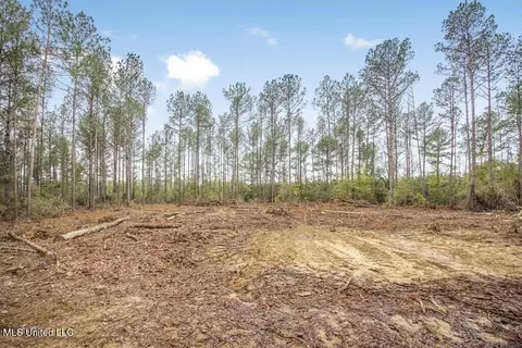 3163 SE Reeves Rd, Ruth, MS 39662 photo 10