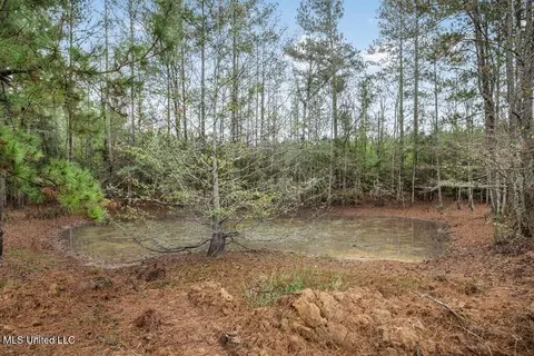 3163 SE Reeves Rd, Ruth, MS 39662 photo 2