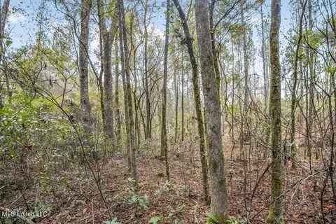 3163 SE Reeves Rd, Ruth, MS 39662 photo 6