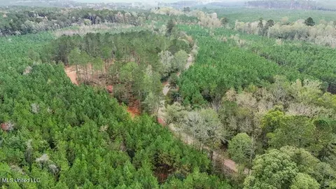 3163 SE Reeves Rd, Ruth, MS 39662 photo 9