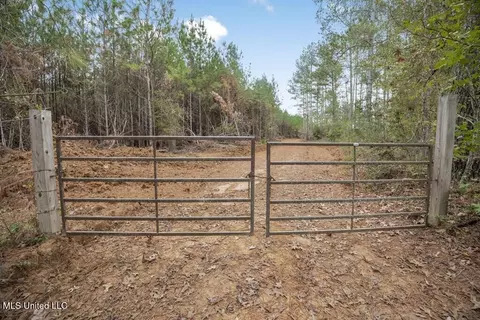 3163 SE Reeves Rd, Ruth, MS 39662 photo 4