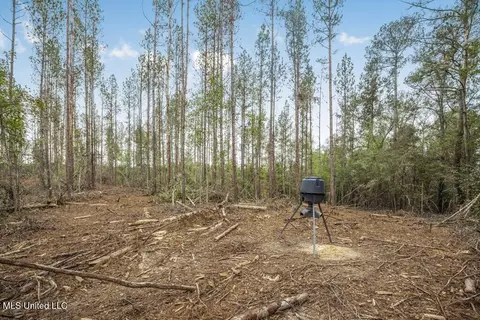 3163 SE Reeves Rd, Ruth, MS 39662 photo 3