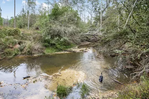 3162 SE Reeves Rd, Ruth, MS 39662