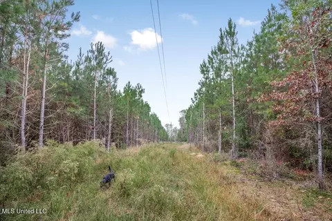 3162 SE Reeves Rd, Ruth, MS 39662 photo 3