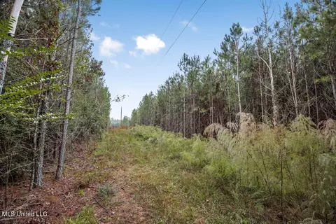 3162 SE Reeves Rd, Ruth, MS 39662 photo 5