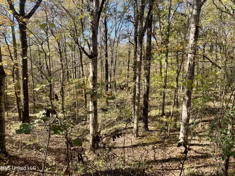 1 Truslow Rd, Sarah, MS 38665