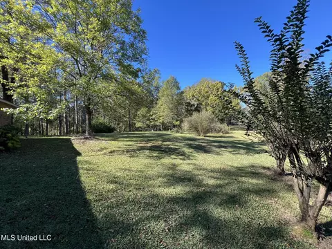 16799 Midway Rd, Terry, MS 39170 photo 34