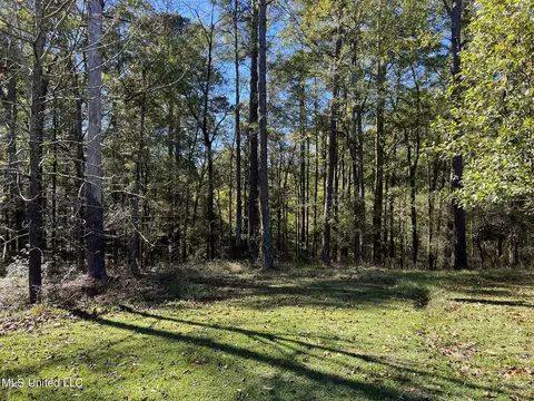 16799 Midway Rd, Terry, MS 39170 photo 37