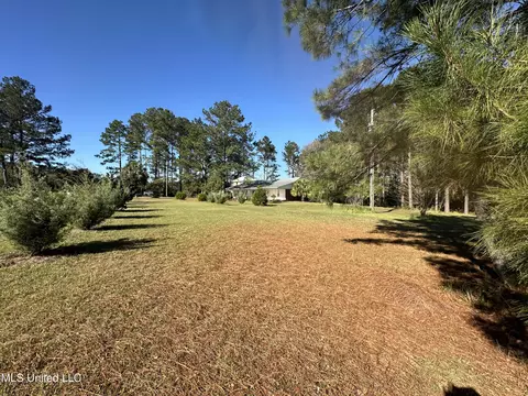 Exterior - 159 Southern Hills Dr, Lucedale, MS 39452 photo 4 of 9