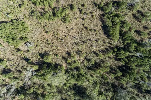 111 Ms-44, Sumrall, MS 39482 photo 9