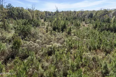 111 Ms-44, Sumrall, MS 39482 photo 11