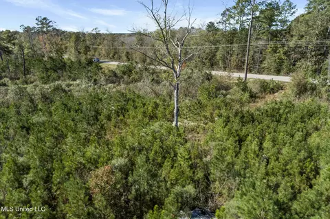 111 Ms-44, Sumrall, MS 39482 photo 10