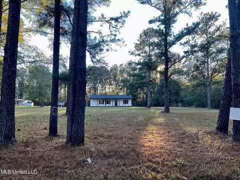 372 Flournoy Rd, Lucedale, MS 39452 photo 2