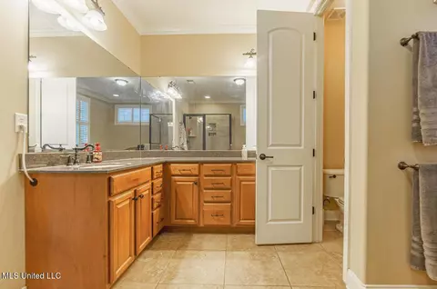 Bath - 4655 Bonne Terre Dr, Nesbit, MS 38651 photo 2 of 6
