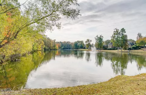 View/Area - 4655 Bonne Terre Dr, Nesbit, MS 38651 photo 1 of 1