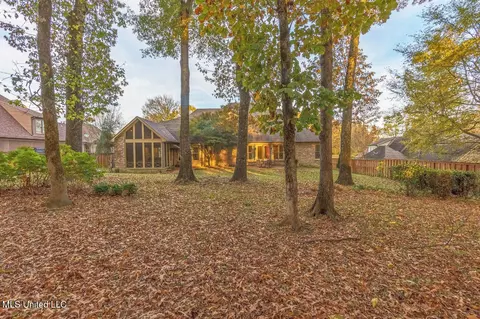 Exterior - 4655 Bonne Terre Dr, Nesbit, MS 38651 photo 7 of 7