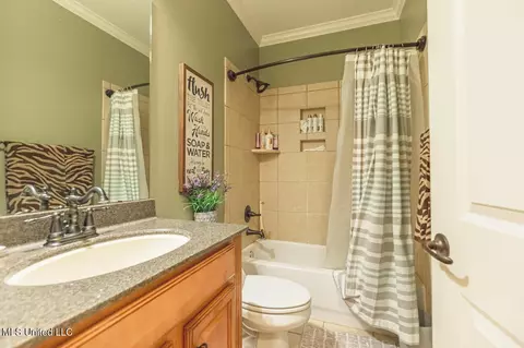 Bath - 4655 Bonne Terre Dr, Nesbit, MS 38651 photo 4 of 6
