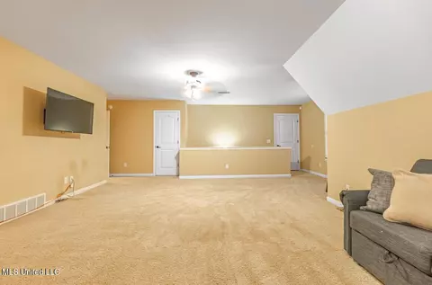 Other - 4655 Bonne Terre Dr, Nesbit, MS 38651 photo 3 of 4