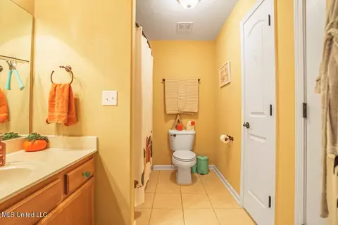 Bath - 4655 Bonne Terre Dr, Nesbit, MS 38651 photo 5 of 6