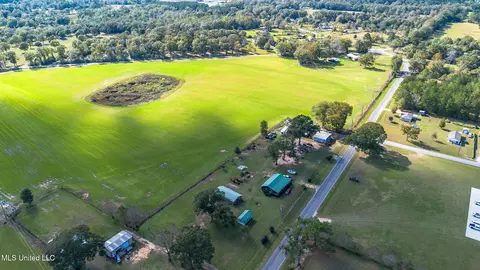 View/Area - 206 Brushy Creek Rd, Lucedale, MS 39452 photo 8 of 10
