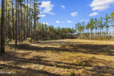 305 Loyd Irby Rd, Pelahatchie, MS 39145