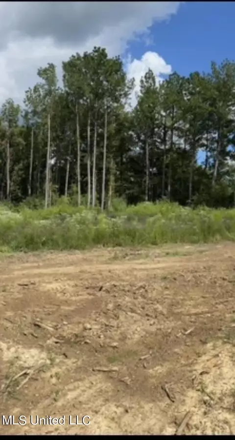 0 Moncure Marble Rd, Terry, MS 39170